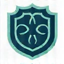 Prostate Health Icon